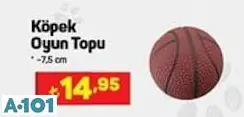 KÖPEK OYUN TOPU KÖPEK OYUN TOPU
